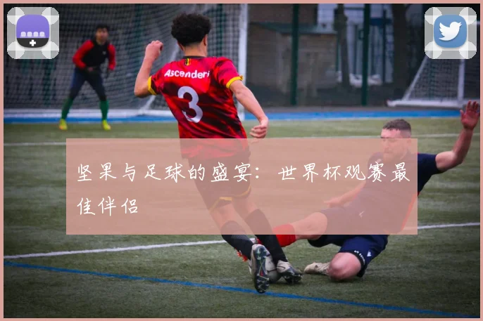 坚果与足球的盛宴：世界杯观赛最佳伴侣