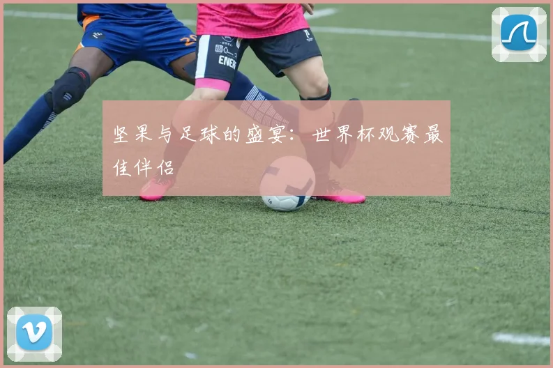 坚果与足球的盛宴：世界杯观赛最佳伴侣