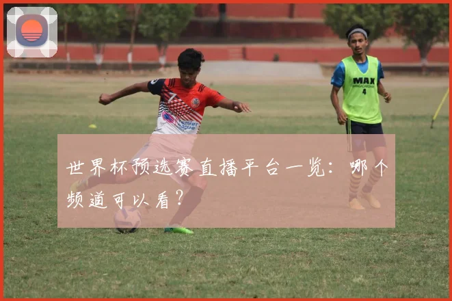 世界杯预选赛直播平台一览：哪个频道可以看？