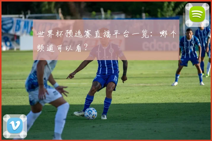 世界杯预选赛直播平台一览：哪个频道可以看？