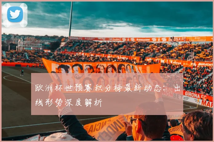 欧洲杯世预赛积分榜最新动态：出线形势深度解析