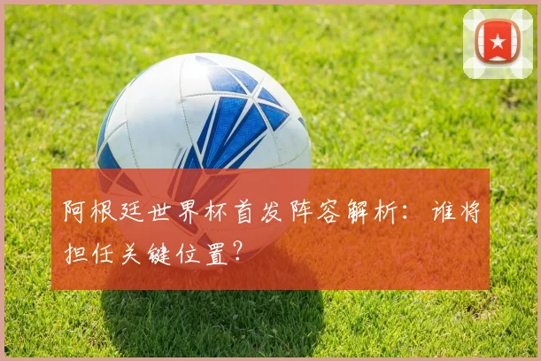 阿根廷世界杯首发阵容解析：谁将担任关键位置？